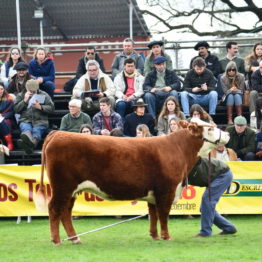 Expo Prado 2019 - Día 7 (127)