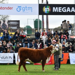 Expo Prado 2019 - Día 7 (128)