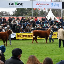 Expo Prado 2019 - Día 7 (129)