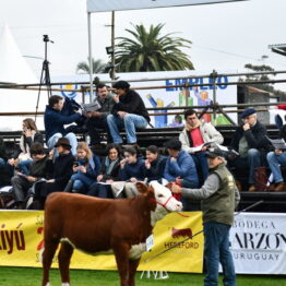 Expo Prado 2019 - Día 7 (13)