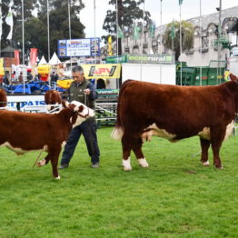 Expo Prado 2019 - Día 7 (135)