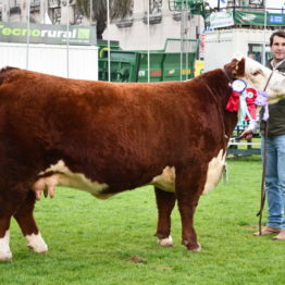 Expo Prado 2019 - Día 7 (136)