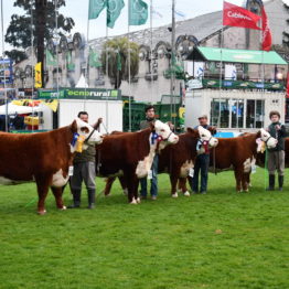 Expo Prado 2019 - Día 7 (137)