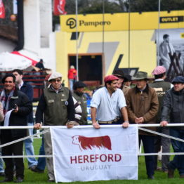 Expo Prado 2019 - Día 7 (14)