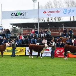 Expo Prado 2019 - Día 7 (15)