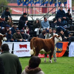 Expo Prado 2019 - Día 7 (61)