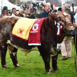 Expo Prado 2019 - Día 8 (104)