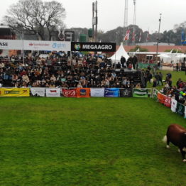 Expo Prado 2019 - Día 8 (11)