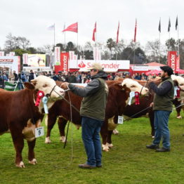 Expo Prado 2019 - Día 8 (113)