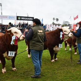 Expo Prado 2019 - Día 8 (115)