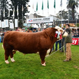 Expo Prado 2019 - Día 8 (117)