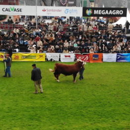 Expo Prado 2019 - Día 8 (12)