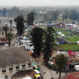 Expo Prado 2019 - Día 8 (126)