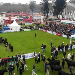 Expo Prado 2019 - Día 8 (13)