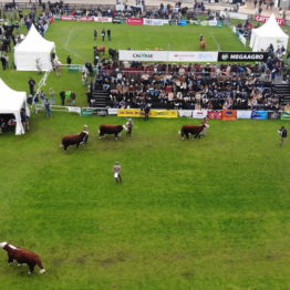 Expo Prado 2019 - Día 8 (15)