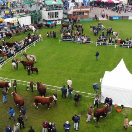 Expo Prado 2019 - Día 8 (17)