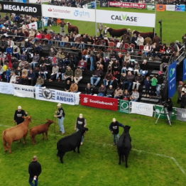 Expo Prado 2019 - Día 8 (23)