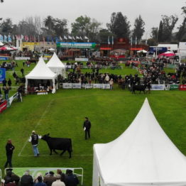 Expo Prado 2019 - Día 8 (27)