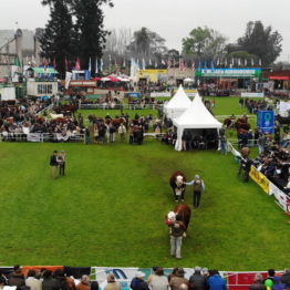 Expo Prado 2019 - Día 8 (28)