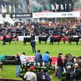 Expo Prado 2019 - Día 8 (30)