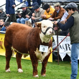 Expo Prado 2019 - Día 8 (35)