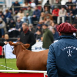 Expo Prado 2019 - Día 8 (37)