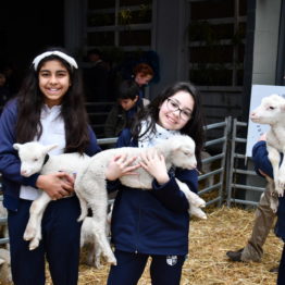 Expo Prado 2019 - Día 8 (47)