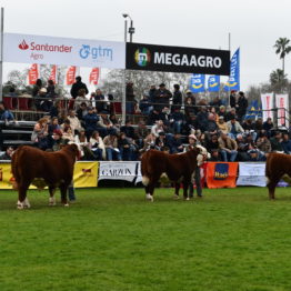 Expo Prado 2019 - Día 8 (58)