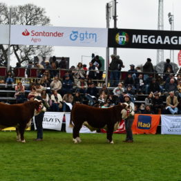 Expo Prado 2019 - Día 8 (59)