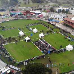 Expo Prado 2019 - Día 8 (6)