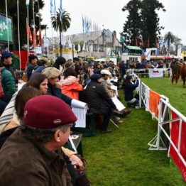 Expo Prado 2019 - Día 8 (60)