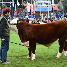 Expo Prado 2019 - Día 8 (62)