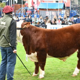 Expo Prado 2019 - Día 8 (64)