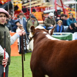 Expo Prado 2019 - Día 8 (65)