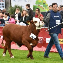 Expo Prado 2019 - Día 8 (78)