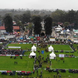 Expo Prado 2019 - Día 8 (8)