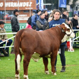 Expo Prado 2019 - Día 8 (80)