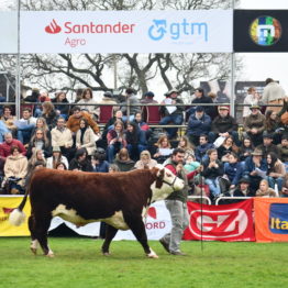 Expo Prado 2019 - Día 8 (81)