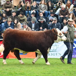 Expo Prado 2019 - Día 8 (82)