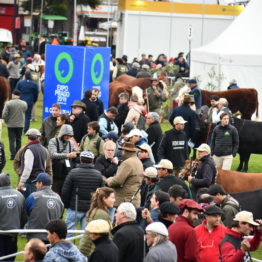 Expo Prado 2019 - Día 8 (93)