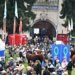 Expo Prado 2019 - Día 8 (94)