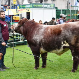 Expo Prado 2019 - Día 8 (97)