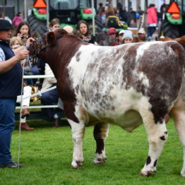 Expo Prado 2019 - Día 8 (98)