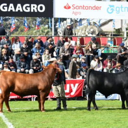 Expo Prado 2019 - Día 9 (10)