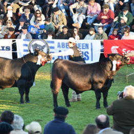 Expo Prado 2019 - Día 9 (106)