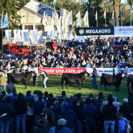 Expo Prado 2019 - Día 9 (107)