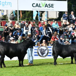 Expo Prado 2019 - Día 9 (11)