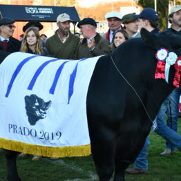 Expo Prado 2019 - Día 9 (111)