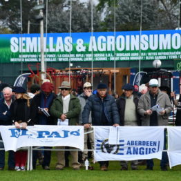 Expo Prado 2019 - Día 9 (14)