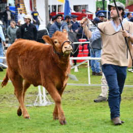 Expo Prado 2019 - Día 9 (23)